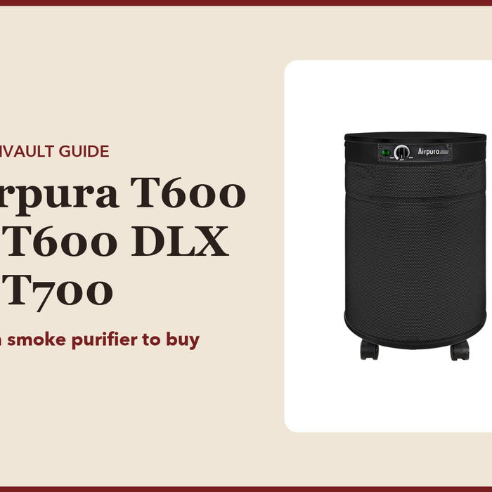 Airpura T600 vs T600 DLX vs T700: CubanVault guide