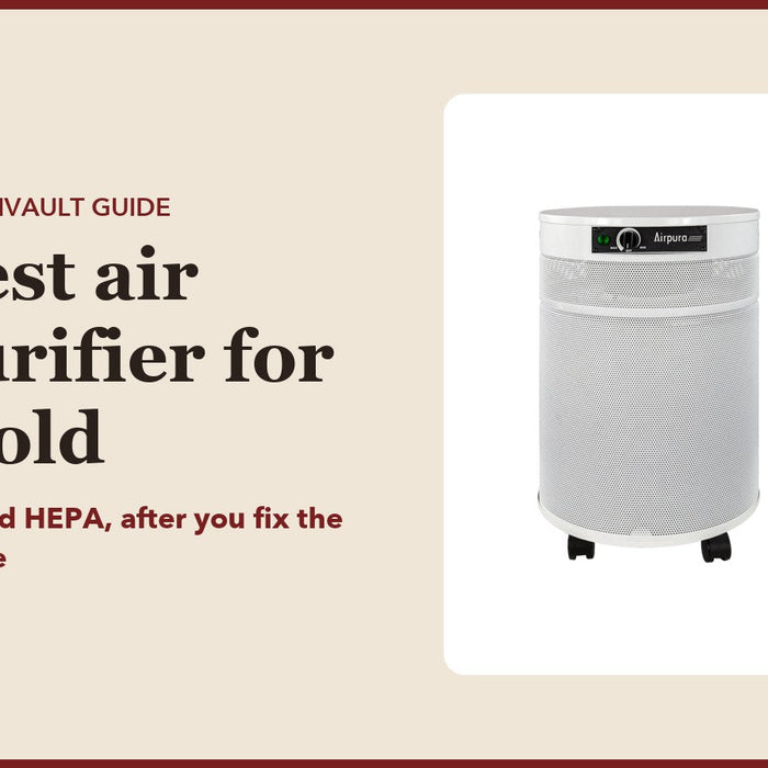 Best air purifier for mold: CubanVault guide