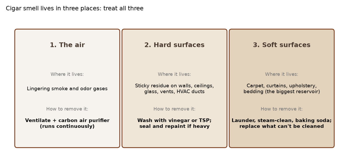 Where cigar smell lives and how to remove it