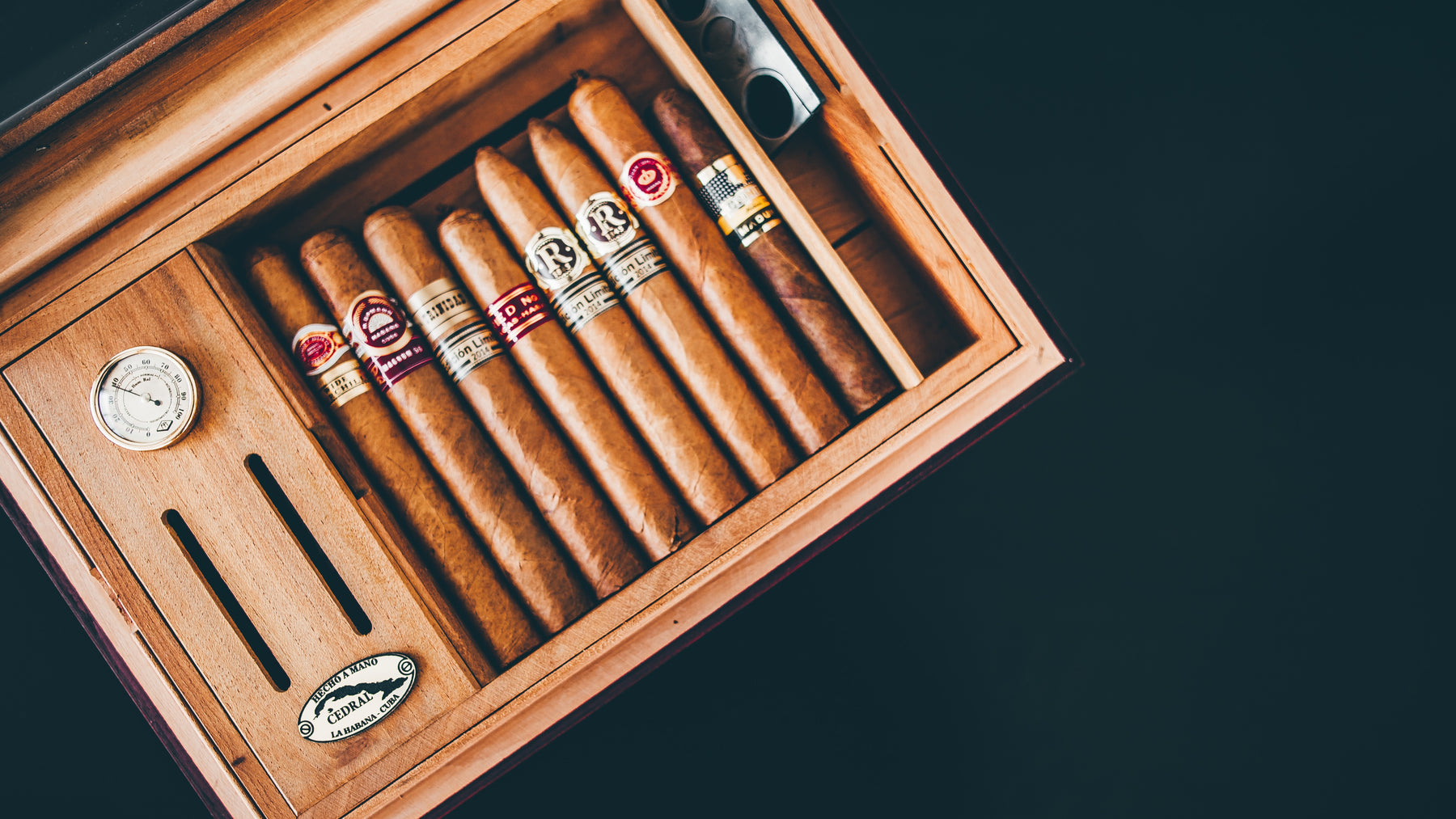 How to Set up a Humidor? — A Complete Guide