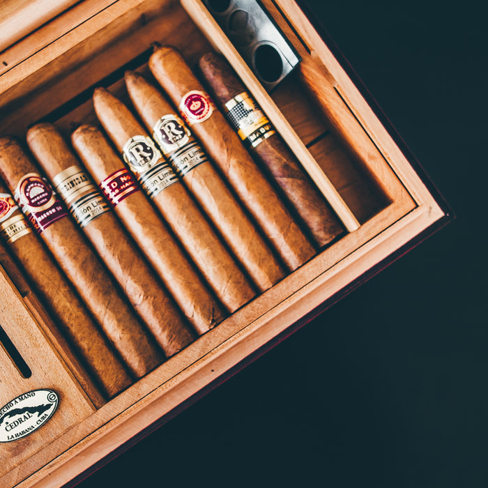 How to Set up a Humidor? — A Complete Guide