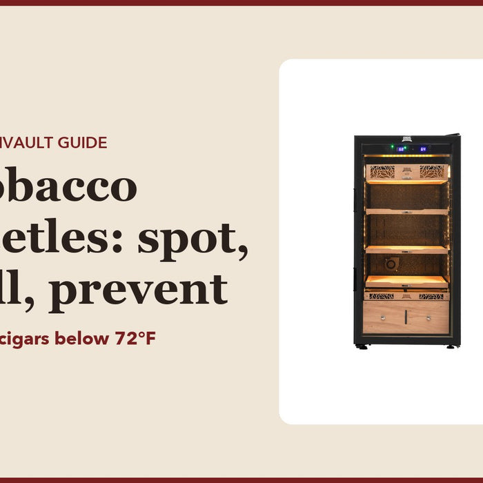 Tobacco beetles: spot, kill, prevent: CubanVault guide