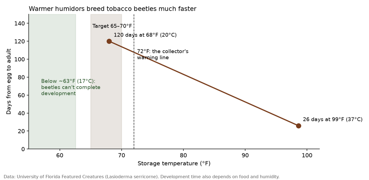 Tobacco beetle development time by temperature chart