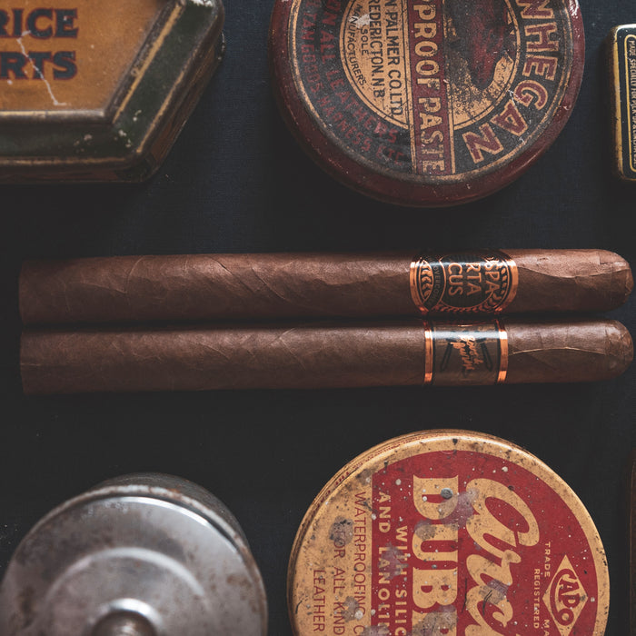 Best Cigars for Beginners- How to Choose One?