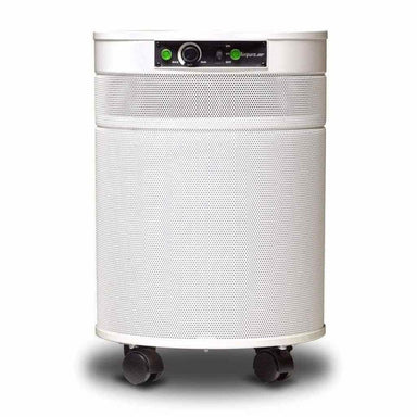 Airpura P600+ HEPA TIO2 Air Purifier for Germs Mold & 