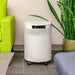 Airpura P600 TitanClean Air Purifier for Pathogens Mold & 