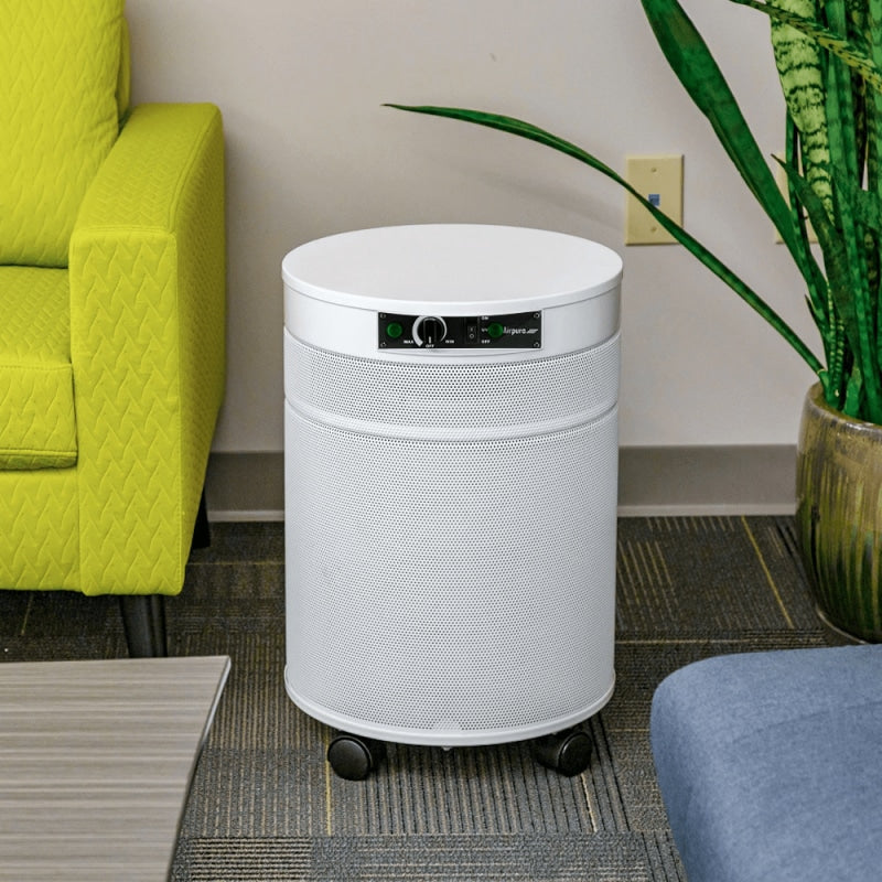 Airpura P600 TitanClean Air Purifier for Pathogens Mold & 