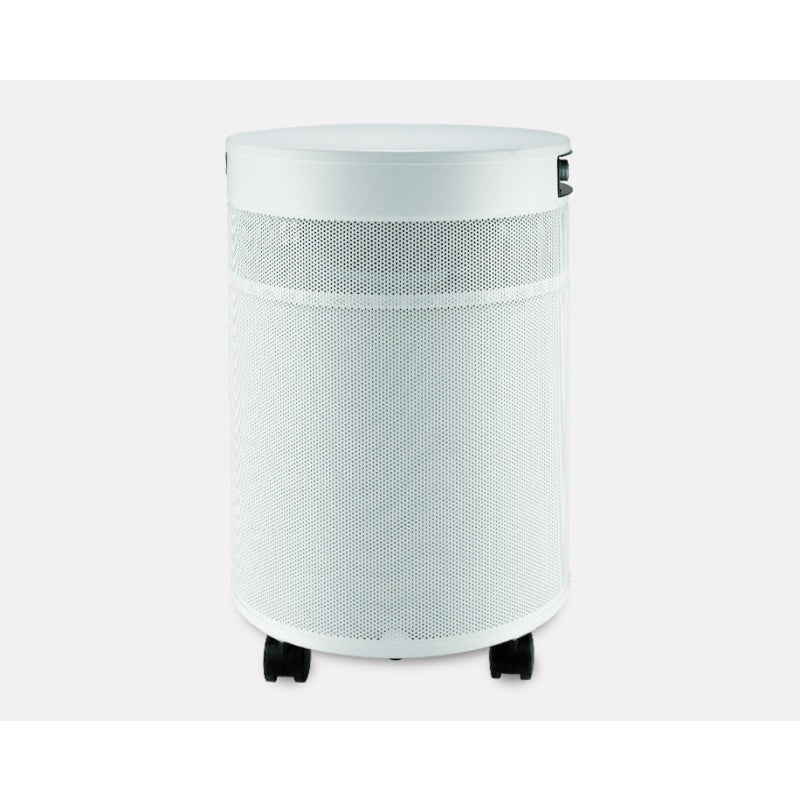 Airpura T700 Air Purifier for Tobacco Smoke