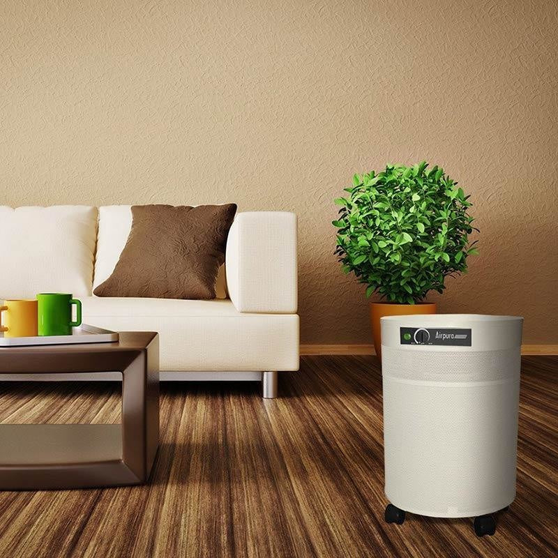 Airpura V600 Home Air Purifier for Volatile Organic 